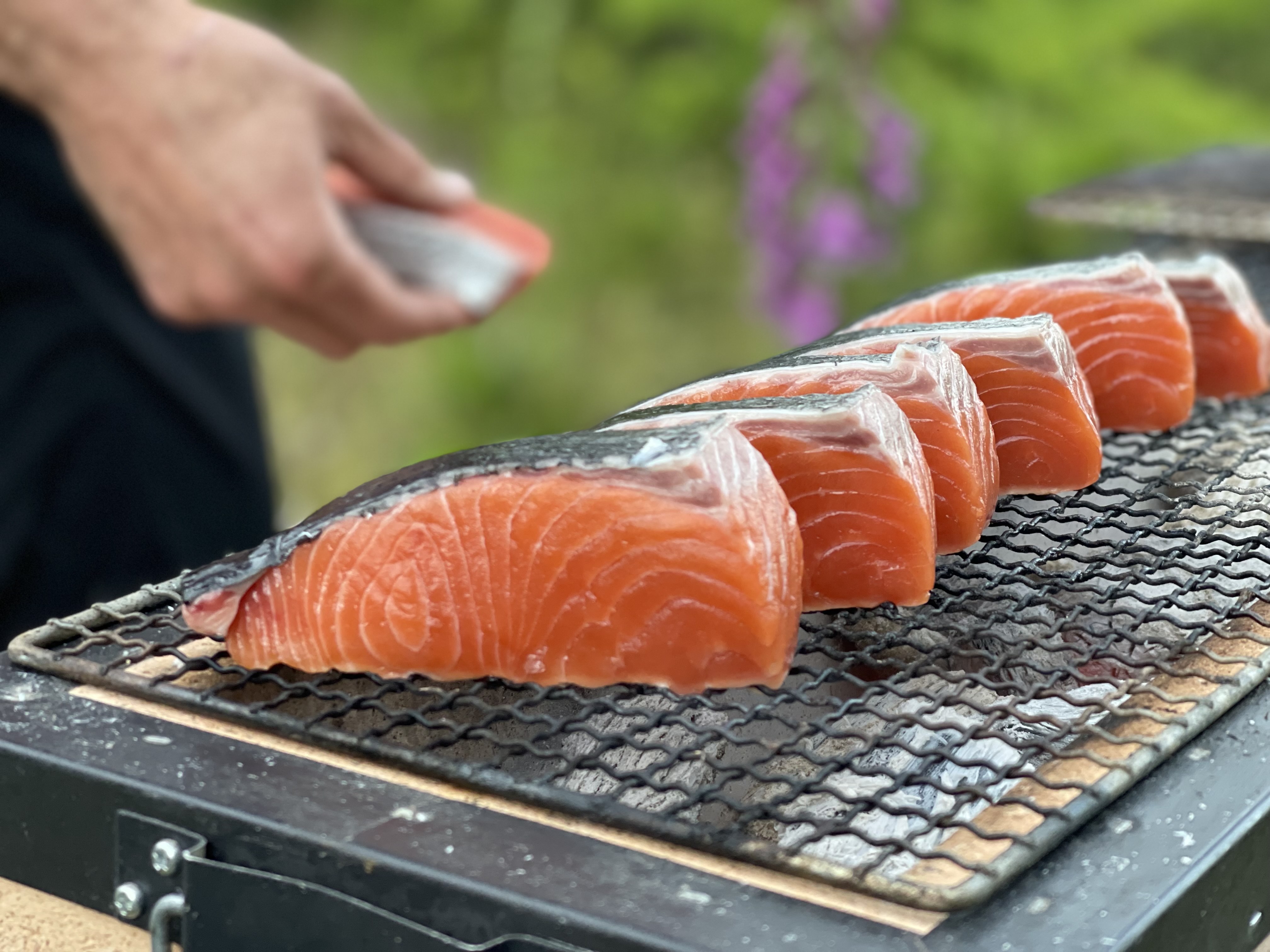 Wild caught salmon on barbeque